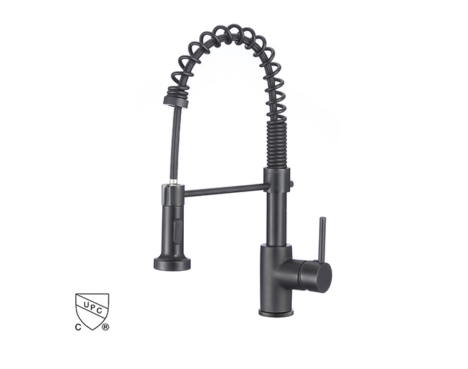 Kitchen Faucet