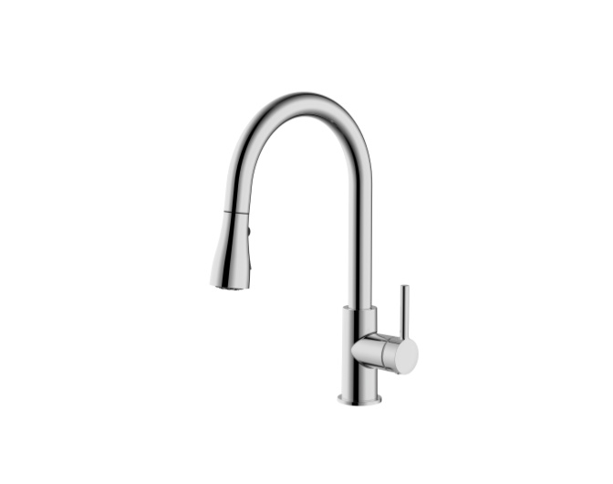 Kitchen Faucet