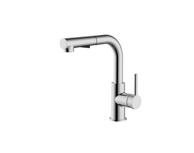 Kitchen Faucet