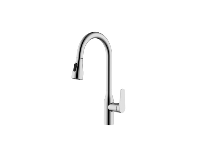 Kitchen Faucet